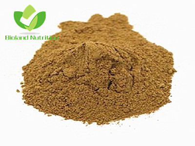 Shiitake mushroom extract, Polysaccharide 10% ~ 40%