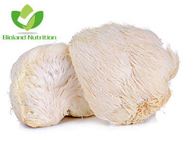 Lion's Mane mushroom, cut/crushed/ground
