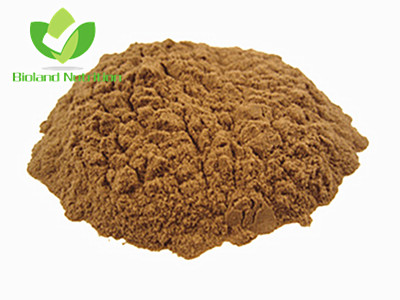 Maitake mushroom extract, Polysaccharide 10% ~ 40%