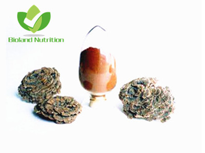 Coriolus versicolor extract, Polysaccharide 10% ~ 40%