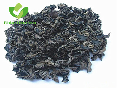 Auricularia auricular, whole/crushed/ground