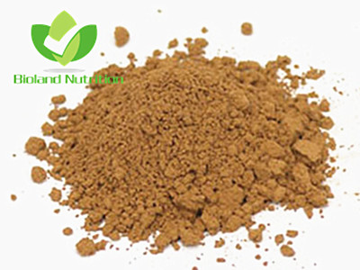 Coprinus comatus extract, Polysaccharide 10% ~ 40%