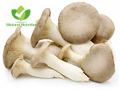 Oyster mushroom, cut/crushed/ground