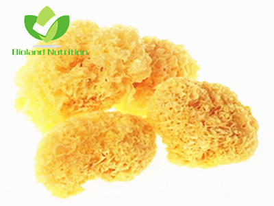 Tremella fuciformis, cut/crushed/ground