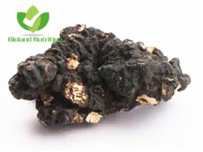 Polyporus umbellatus, cut/crushed/ground
