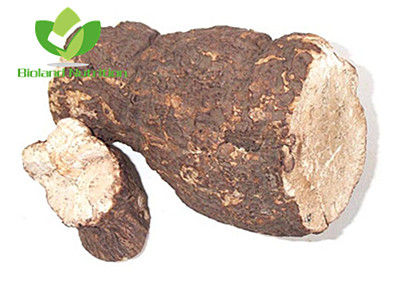 Poria cocos, cut/crushed/ground
