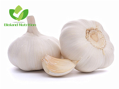 Dehydrated Garlic, flakes/granules/powder