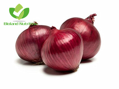 Dehydrated Onion, slices/granules/powder