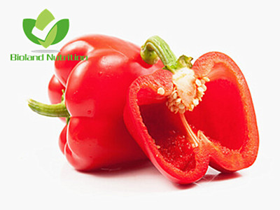 Dehydrated Red Bell Pepper, flakes/powder