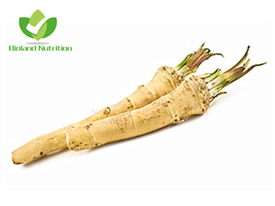 Dehydrated Horseradish, flakes/granules/powder