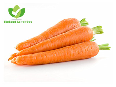 Dehydrated Carrot, flakes/granules/powder