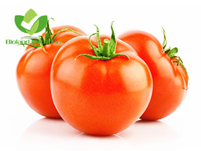 Dehydrated Tomato, flakes/powder
