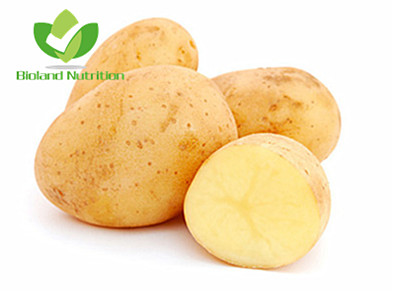 Dehydrated Potato, granules/powder