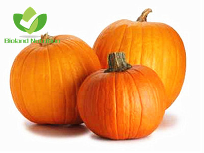 Dehydrated Pumpkin, dices/powder