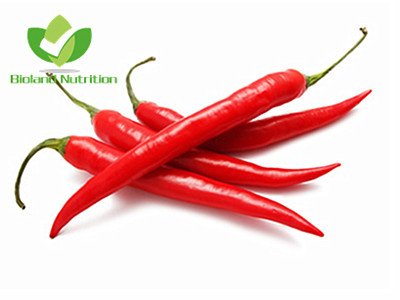 Dehydrated Chilli, granules/powder