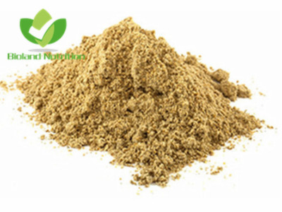 Milk thistle Silymarin