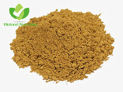Green tea Polyphenols