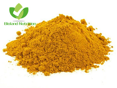 Turmeric Curcumin