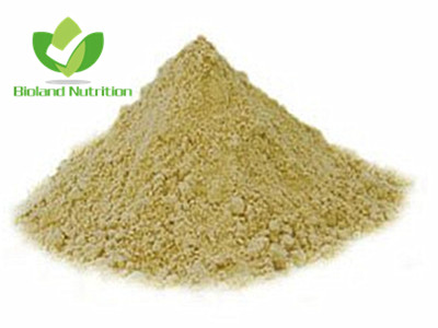 Soybean Isoflavones