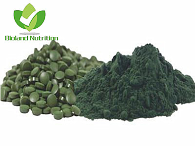 Superfood Spirulina powder, pressed tablets