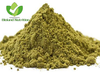 Natural Hemp protein powder