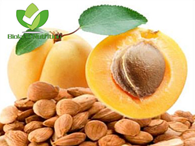 Bitter Apricot kernels, Sweet Apricot kernels