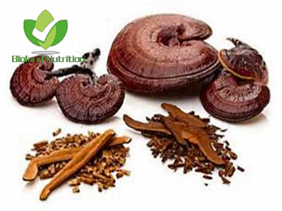 Reishi mushroom, cut/crushed/ground