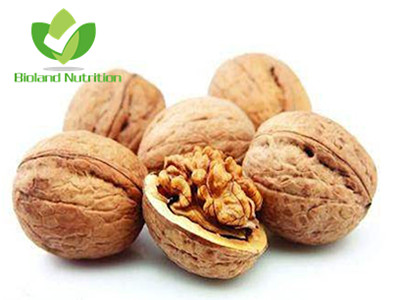 Walnut kernels, LH/LQ/LP/LAH/LAQ/LAP