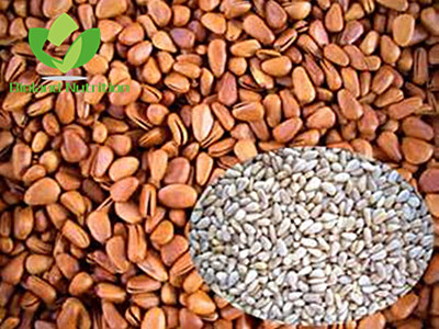 Red Pinenut kernels, Grade A