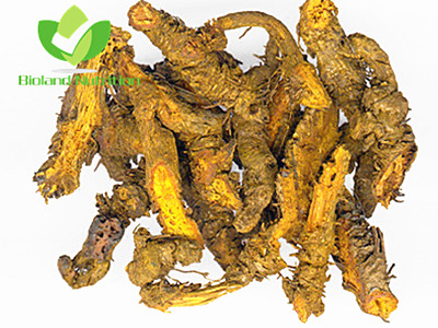 Coptis chinensis, cut/crushed/ground
