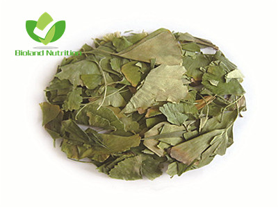 Ginkgo leaves, cut/crushed/ground
