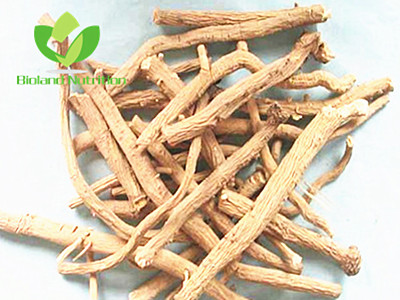 Isatis roots, cut/crushed/ground