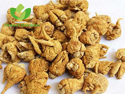 Maca from China, cut/crushed/ground