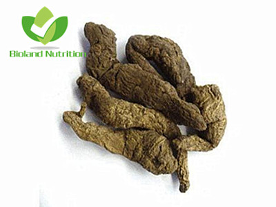 Polygonum multiflorum, cut/crushed/ground