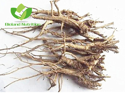 Radix bupleuri, cut/crushed/ground