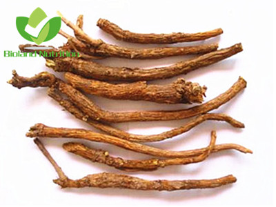 Radix scutellariae, cut/crushed/ground