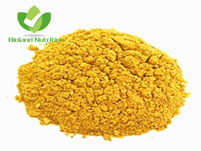 Seabuckthorn powder, spray dried