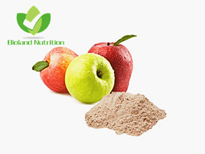 Dried Apple powder