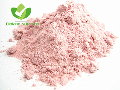 Pomegranate powder, spray dried