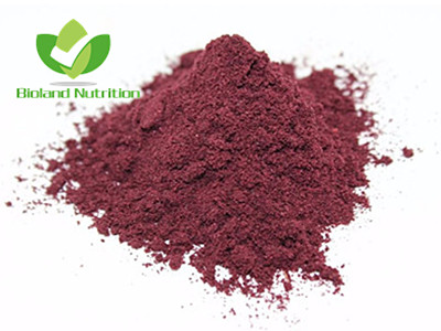 Dried Blueberry powder