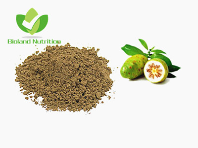 Noni powder, spray dried