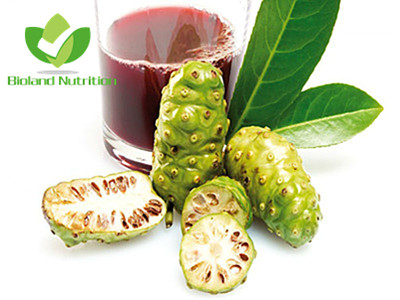 Noni enzyme juice