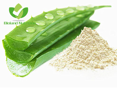 Dried Aloe Vera powder, 100:1/200:1